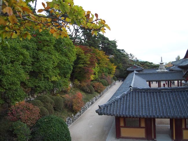 仏教のことは良く分かりませんが、韓国の歴史を少し理解できたかな??