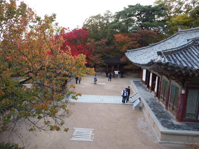 時間も無いので足早に回ります。