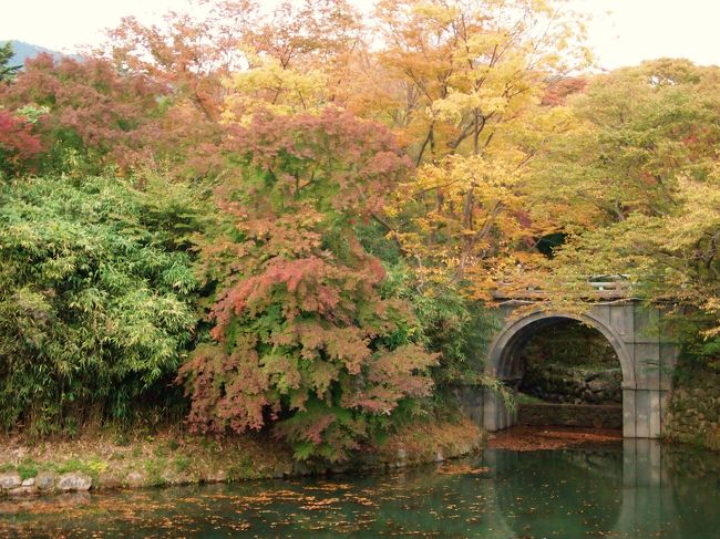今年の頭から「韓国で紅葉が見たい」と思ってたので、念願が叶い満足。