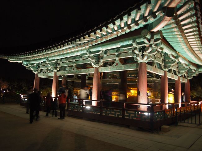 帰りももちろん自転車。<br />寄り道せず、無言で走り続けたお陰で市内へ１時間で戻って来ました。<br />「夜になったら行こう」と言っていた雁鴨池（アナプチ）へ。<br />もう充分暗かったので、ゲストハウスへ戻る途中に寄りました。<br /><br /><br />