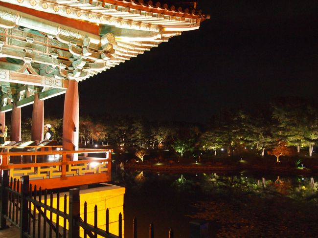 かつての新羅王族が船を浮かべて遊んでいたと言われる場所です。<br />新羅時代最大の人工池で、本来の名を「月池(ウォルチ)」と言います。<br /><br />６７４年に新羅の三国統一を記念て造成されましたが、９３５年の新羅滅亡により王宮は破壊され、復元するまでは荒廃していたそうです。<br /><br /><br /><br />