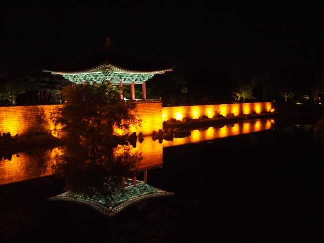 建物以外は真っ暗で、池に浮かんでいる様です。