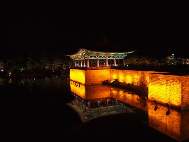 池の周りを一周して･･･。