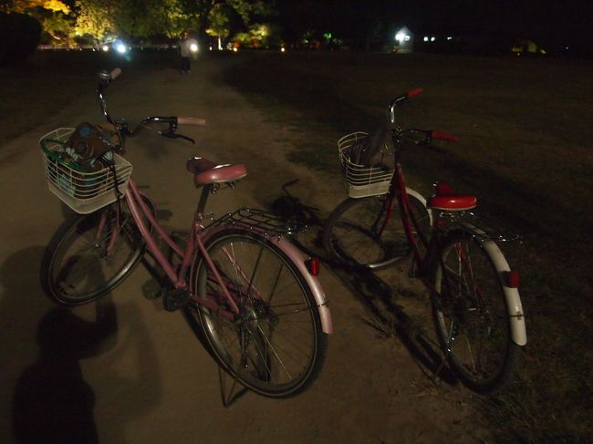 今日一日お世話になった自転車くんたち。<br />君たちも仏国寺まで行くなんて思っていなかっただろう。