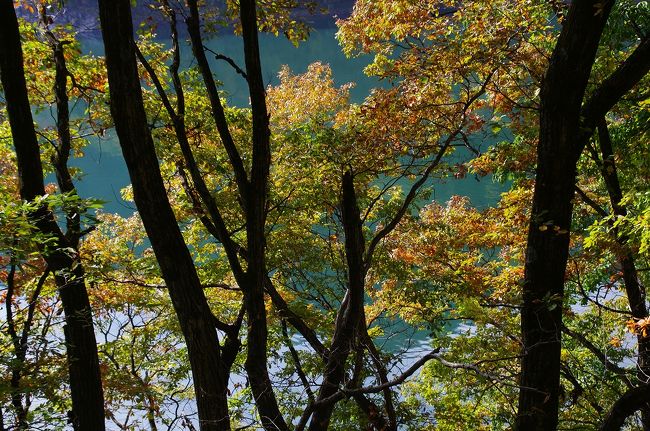 エメラルドブルーの湖にちょっと色づいた紅葉