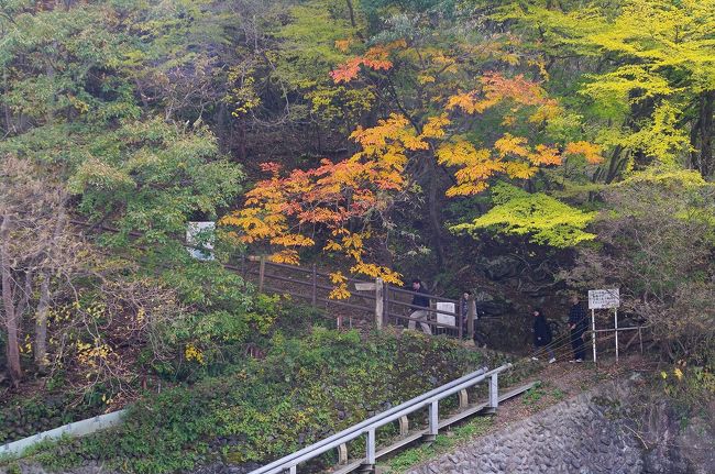 ハイキングコースはこちらから登っていきます。このままコースに沿って歩くと「山のふるさと村」に到着します。