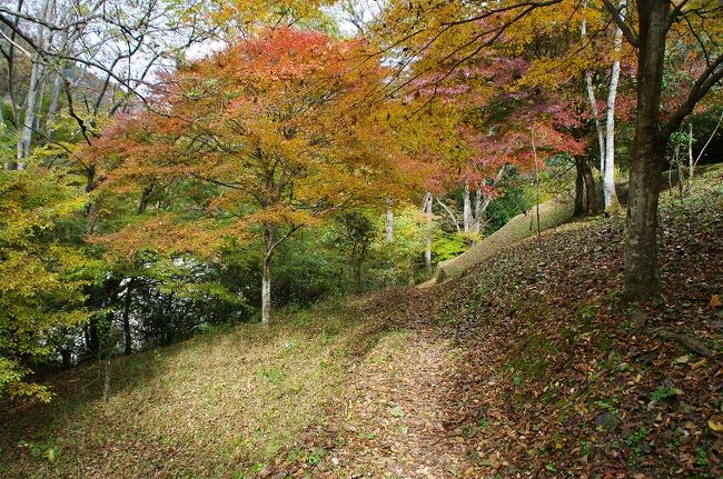 写真を撮りながら・・景色を見ながら・・のんびり歩いて1時間ぐらい。<br />ちょうど良いハイキングです。