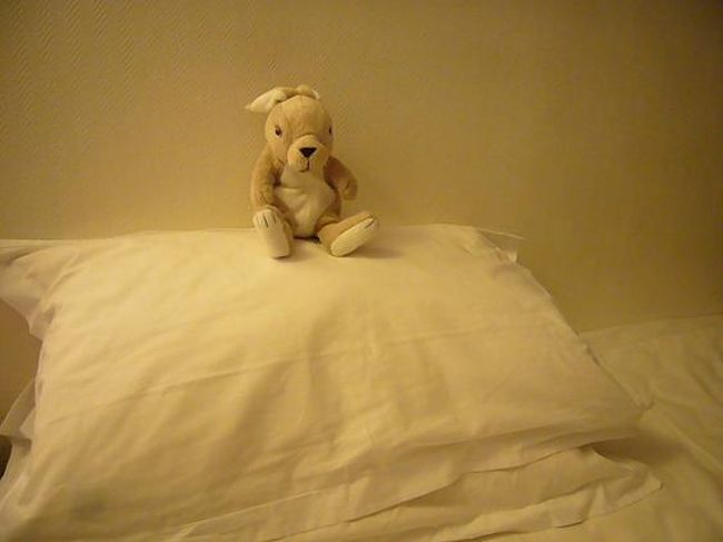 CDG到着後、ロワシーバスでオペラまで。<br /><br />ここからホテルまでスーツケースを持って約10分。<br />近くて、わかりやすくて助かりました。<br /><br />今回選んだホテルは価格は立地重視。<br />http://www.helder-paris-hotel.com/