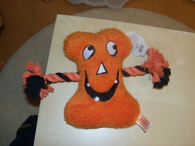 愛犬に土産に買って来た人形。<br /><br />ウォールマートで5ドル<br />ホネッキーと名前をつけました。<br /><br />なかなか可愛いやつ。<br /><br />愛犬にあげたら、くわえてもってきたりお気に入り。<br />が、、、、、3時間でホネッキーはバラバラに。　<br /><br />さよならホネッキー。<br /><br />犬め<br /><br /><br />長くなりましたが、5周年の記念にとても楽しい旅行ができました。最後まで読んでくださりありがとうございます。<br /><br />2人で次はどこに行こうかな。<br />ヨーロッパ行きたいな☆<br /><br /><br /><br /><br />