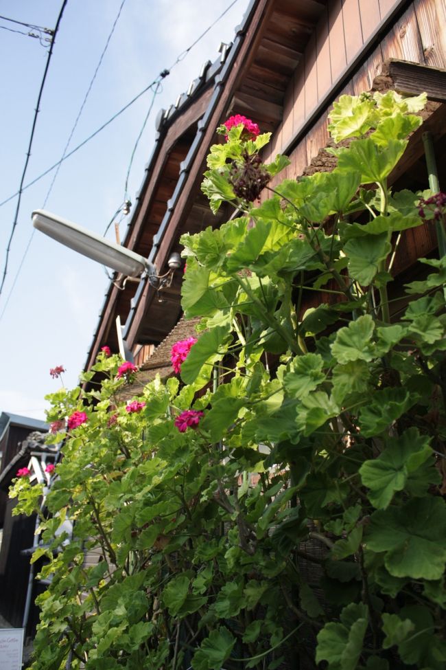 　<br /><br />本村地区にはアート作品が点在しています。<br /><br />たくさん歩きますが、この地区を見て回るだけでも楽しいんです♪<br /><br /><br />なんだか過去にタイムスリップしたかのよう。<br /><br />