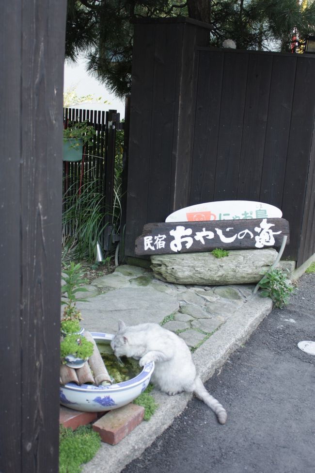 　<br /><br /><br /><br />むむむ！