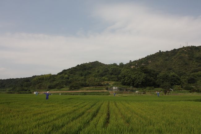 2010年8月25日<br /><br />午前9時。<br />かかしだってアートです！<br /><br />朝からガソリンを入れました。<br />お店の人が「島のガソリンは高いから、使う分だけにしときな」だって。<br />なんて優しい島の人々。