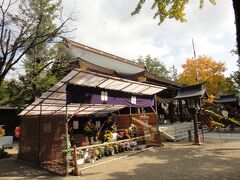 駐車場の裏手の丘を登り、菊池神社にやって来ました。神社の境内でも、菊の展示がされていました。神社の建物はそれほど派手ではありませんが、屋根の角部分の曲面が印象的です。