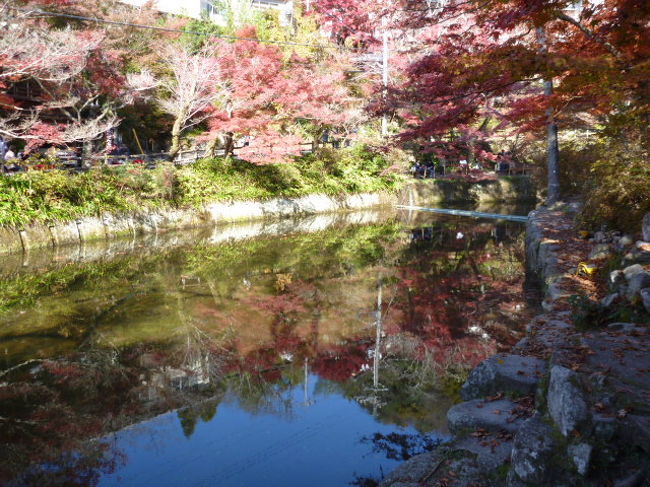 愛知県瀬戸市へ紅葉ツーリング 岩屋堂公園 瀬戸 愛知県 の旅行記 ブログ By C Makotoさん フォートラベル 愛知県瀬戸市へ紅葉ツーリング 岩屋堂公園 瀬戸 愛知県 の旅行記 ブログ By C Makotoさん フォートラベル