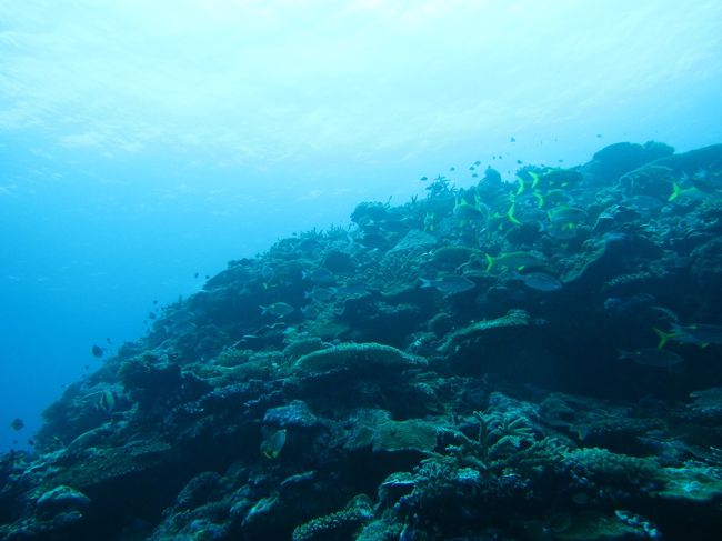 ３本目はショップオリジナルポイント「復活への道」