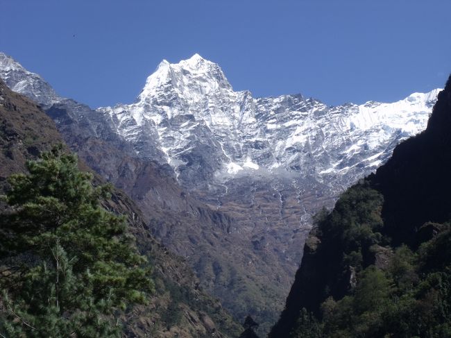 ２０１０年１１月５日（金）<br />朝　ここは谷間にあるので、見晴らしはよくない。<br />マリーゴールドとコスモスが植えられている。久しぶりのような気がする。<br />トイレは白き人々の座で、便座もついていた。<br />２００１〜２００２年度版の地球の歩き方があった。<br />内容は大まか過ぎて、あれでは迷い方と言われても文句は言えない。<br /><br />竹の節の様になっているところから、段々に枝が出ている変な松の木。<br />カメラがないと探していると、リュックの奥から出してくる。<br /><br />ルクラまで急いだら最終便に乗れるかもしれないと、クリシュナにあげる物を仕分けしておく。<br /><br /><br /><br />　