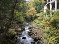 たから荘で休憩をした後、たから荘の温泉の脱衣場から見えた橋まで歩いてみました。
写真は橋から見た景色。