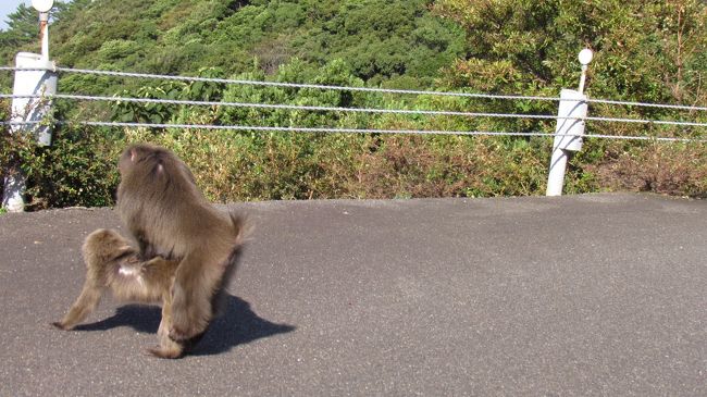 朝からいいのかな