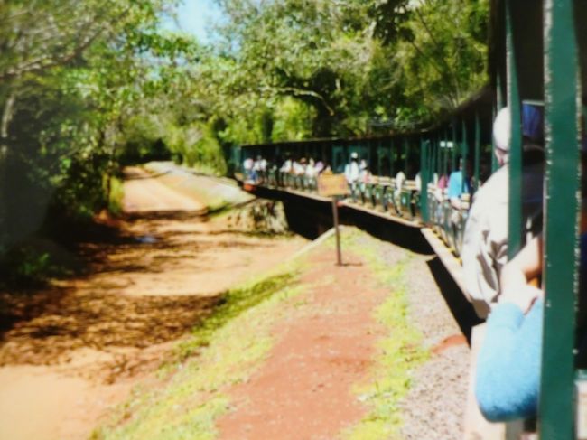 　滝つぼまで遠いので列車で行きます