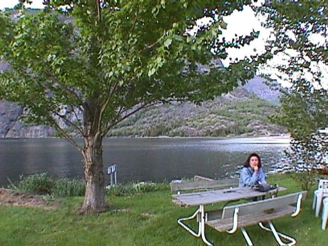 ホテル前の庭です