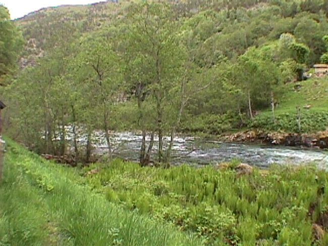 川沿いに走ります。