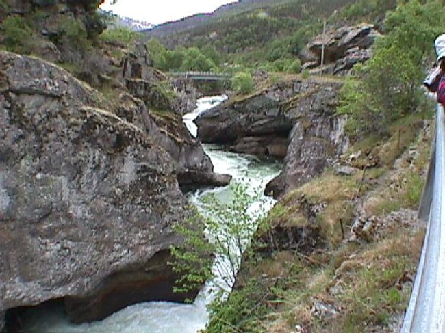 水の色が違います。