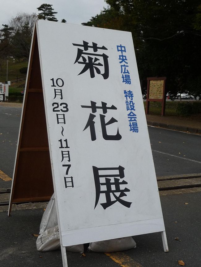 丹波自然公園と呼んでいますが・・・現在は京丹波自然公園と呼ぶのでしょうが・・・<br /><br />平成17年に丹波町・瑞穂町・和知町の３町が合併京丹波町と成りました・・・