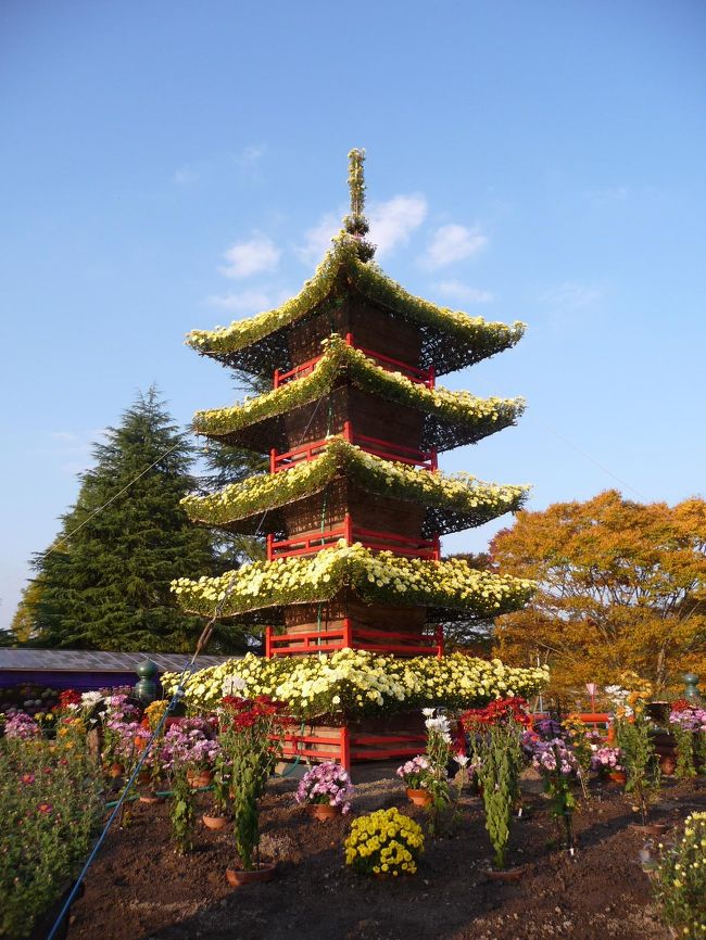 有難うございます・・・最後まで見ていただき・・・