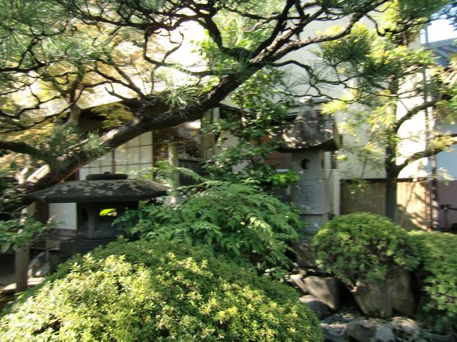 蓬莱軒さんのお庭・・<br /><br />落ち着いた雰囲気の、なんだか懐かしい気持ちになる<br /><br />お庭でした。