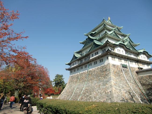 雲一つない青空と、紅葉の中にそびえる名古屋城・・<br /><br />天守閣のいただきにある金の鯱鉾・・<br /><br />鯱には水を呼ぶという伝説があるそうですね。<br /><br />火から城を守ろうとする思いが込められていたようです。<br /><br /><br /><br /><br />