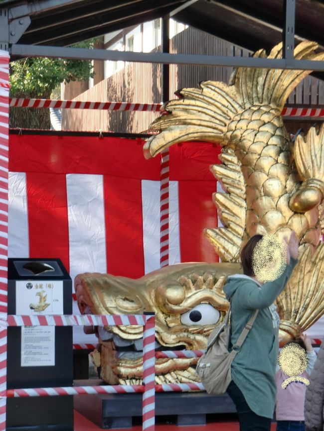 満腹になって、名古屋城に向かいました。<br /><br />良いお天気だったので、すごく賑わっていました。<br /><br />この後、鯱鉾を囲んで１２名で集合写真を撮りました。<br /><br />ちょっと迷惑？？<br /><br />