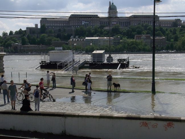 宿に荷物を置き、すぐに知り合った同室の女の子と一緒に、早速ブダペスト市内観光に出かける。<br />まずはドナウ川の向こうに見える王宮を目指す。<br /><br />ブダペストは２日前まで大雨が降っていたらしく、川が氾濫していた。そのせいで川沿いのトラムの路線が水没。こんな光景めったに無いと、観光客はその光景を撮りまくる。←私も。<br />