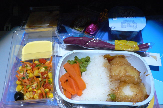 機内食第3回目。魚メニュー。<br />カタール航空は使い捨てのプラスチック容器でもちゃんとデザインされていて、安っぽい感じがしなかったです。