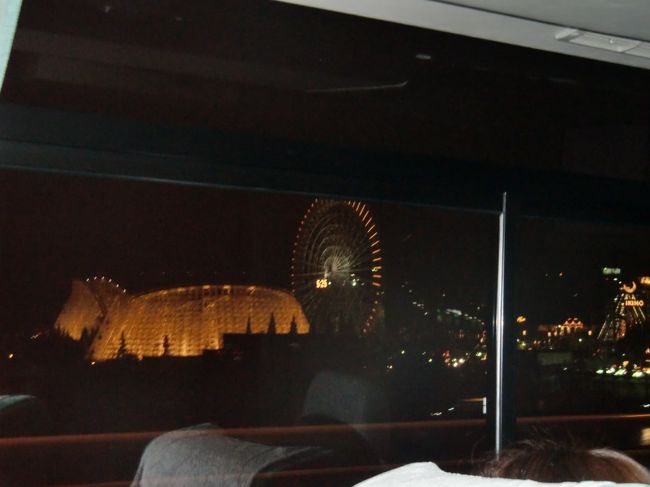 長島スパーランドの夜景です。<br /><br />これは、観覧車とホワイトサイクロン・？！