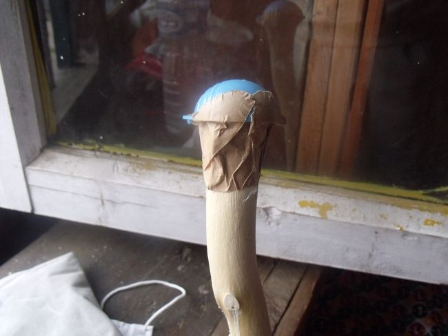 あとがき　　アドバイス<br />どうせポーターが持つのだからと、いろいろなものを持っていった。<br /><br />持って行って良かったもの<br />　　日本食　ふりかけ　サバの味噌煮　サンマのかば焼き　氷砂糖　ミルキー<br />　　万金油　ソイジョイ　子供の土産　温度計　磁石　血圧計<br />　　ヒートテック（温熱下着上下）薄手のジャンパー　レインコート上下<br />　　色の悪くなった下着、シャツ　（ポーターが欲しがる）<br />　　名刺　自分のPCで作った。単３乾電池２４本<br /><br />持ってくれば良かったと思うもの<br />　　海苔の佃煮　セロテープ（地図の折り目を補強）<br />　　ものさし（地図を見るときに必要）<br />　　甘納豆　いろいろ入ったおつまみ<br /><br /><br />現地で買ったもの<br />　　ビスケット　ダイヤモックス　１０万分の一の地図<br /><br /><br />現地で絶対必要のもの<br />　　ストック　出来れば２本　１本５ドルから良いものがある　<br />　　シュラフ　−１０度程度なら２０ドル以下<br />　　羽毛ジャンパー　　現地が安い<br />　　ルピー　両替は余りあるほど沢山しておくこと<br /><br />写真は杖の頭に、たまたま持っていた水泳用の耳栓のキャップをガムテープで取り付けた。<br />掌が痛くならない