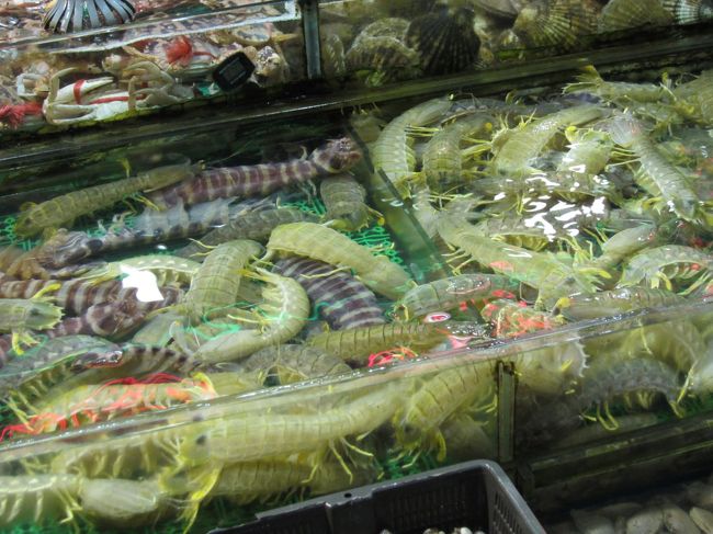 みなさんの旅行記で必ず載ってるシャコ！<br /><br />実物見ると、デカイ！キモイ！！