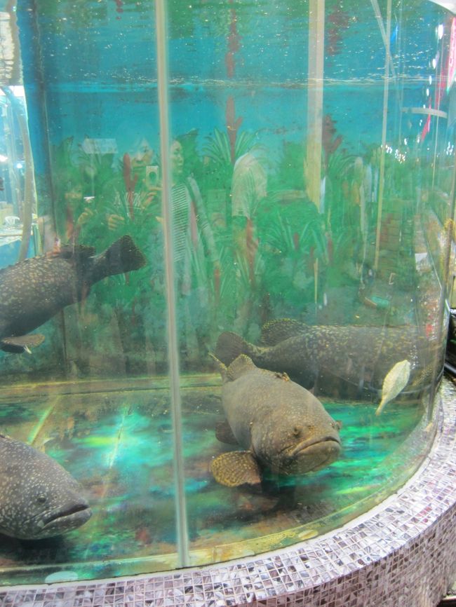 かなりデカイ魚も水槽に。<br />何人前？！<br />オーダーする人いんのか？？