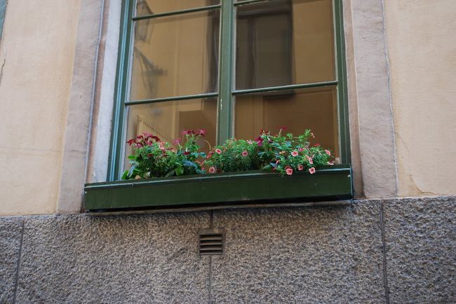 こういう風景が意外と心に残るもの。