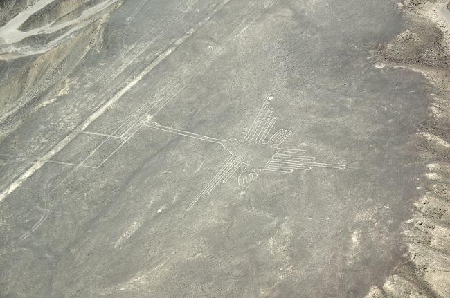 おそらく、ナスカの地上絵で最も有名なのがこの絵でしょう。「ハチドリ」です（大きさ約９７ｍ）。地上絵でも最も多く描かれた絵ということです。この旅でも、ハチドリを見る機会がありましたが、この辺りではよく見られる鳥で、当時は特別な鳥だったのでしょう。<br />