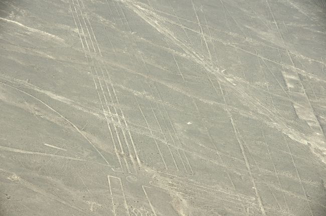 これは・・・何かの絵の一部だったか・・・全体像を把握できませんでした。<br />