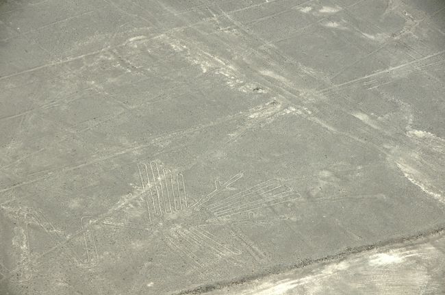 これが全地上絵で最大級の大きさを誇る（約３００ｍ）「サギ」です。写真の左下の部分に見える部分がそれで、翼と足それとジグザクの首の一部が写っています。この絵はうまく写真に収めることができませんでした。残念！<br />