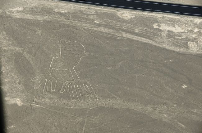 海草の絵とミラドールを挟んで隣り合っているのが、この「手」の絵です（大きさ約４３ｍ）。鳥の足にも見えます。でも、片方の手（か足）の指が４本しかないのはなぜなのでしょう？サルの絵も右手の指が４本しかなく、不思議です。<br />