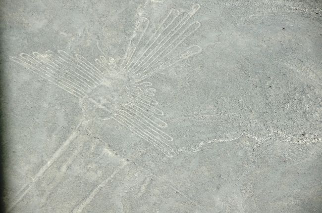 ナスカの地上絵から北へ移動して、パルパの地上絵の上空へ来ました。<br />こちらにも「ハチドリ」の絵があります（大きさ約６９ｍ）。ナスカのものよりも羽が多いですね。<br />