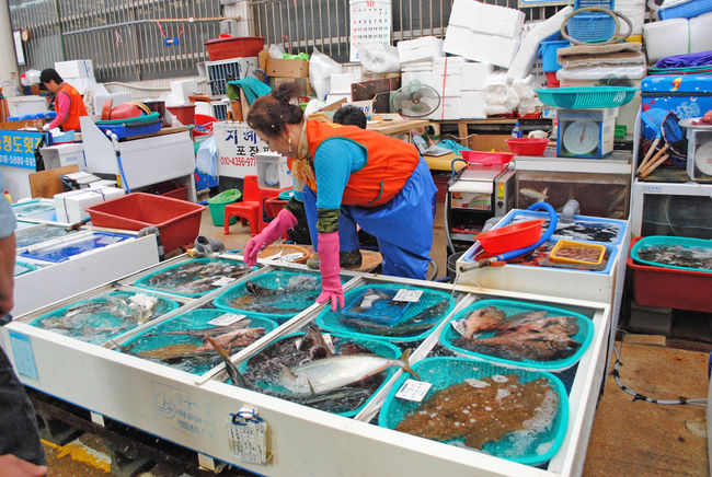 お魚が多いですね。<br />