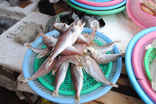 これは干し魚？？？<br /><br />他にもいろいろな種類があったけれど、とてもきれいに並べられています。