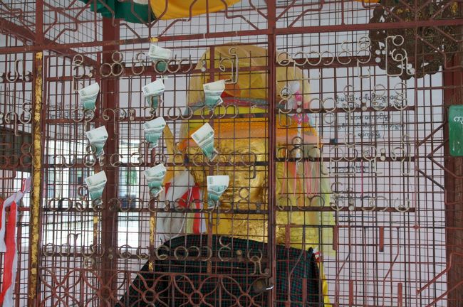 なんか、覗き込んでると、横から少々解説してくれますが…