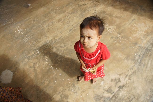 この子は…ただ物珍しくて寄ってきただけかな？