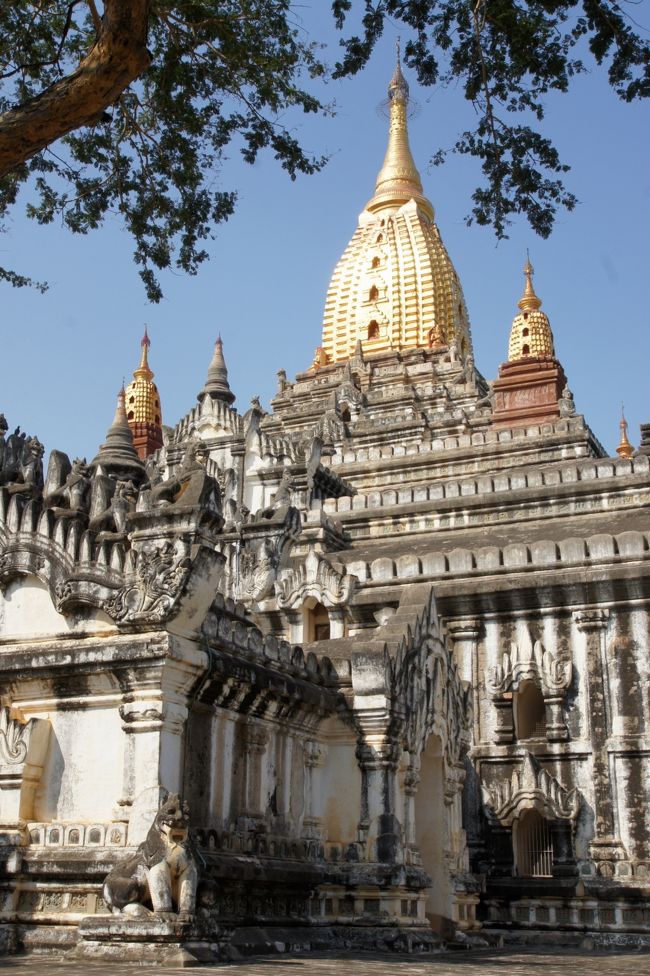 この辺から見るのが一番ですかね。境内の北西の方です。でも、地面がガタガタで、ちと足の裏が痛い。