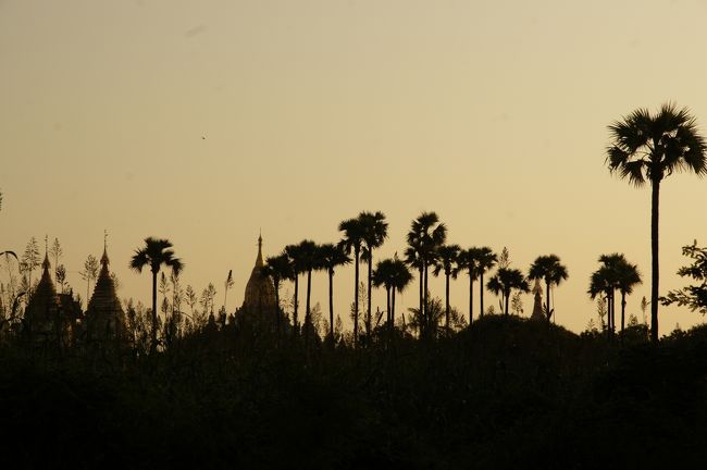 近所の方におせぇてもらって、なんとか間に合いそうですね。