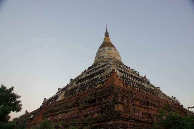 って、さっきのお嬢ちゃんにめっかって、ずっと付いて来ますが…